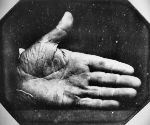 Wykłady Danuty Jackiewicz