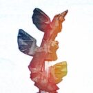 Kultura w Szczecinie